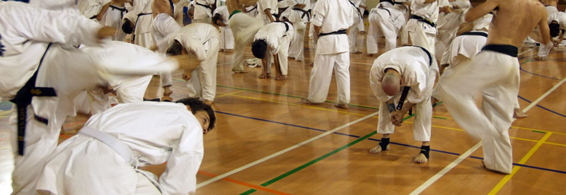 kyokushin karate sp entrenamientos